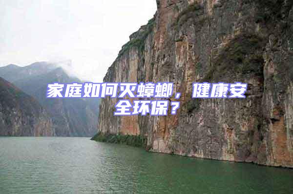 家庭如何滅蟑螂,健康安全環(huán)保?