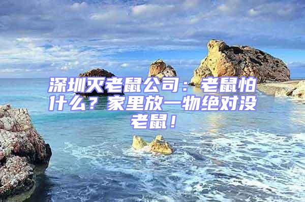 深圳滅老鼠公司:老鼠怕什么?家里放一物絕對沒老鼠!