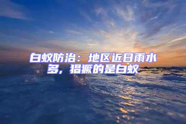 白蟻防治:地區(qū)近日雨水多, 猖獗的是白蟻
