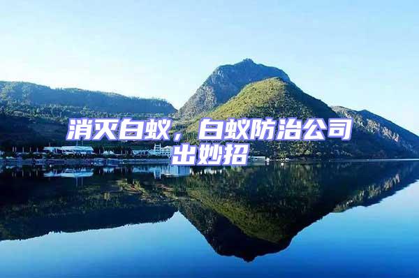 消滅白蟻,白蟻防治公司出妙招
