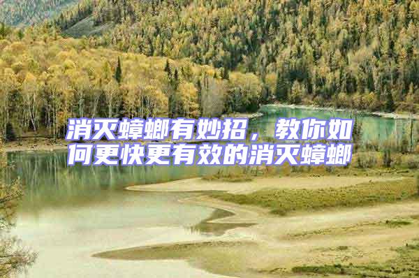 消滅蟑螂有妙招,教你如何更快更有效的消滅蟑螂