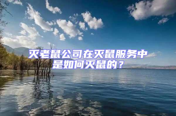 滅老鼠公司在滅鼠服務中是如何滅鼠的？