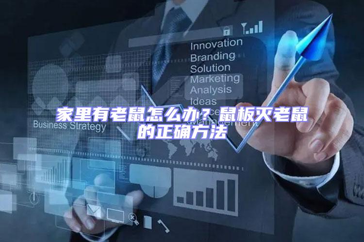 家里有老鼠怎么辦?鼠板滅老鼠的正確方法