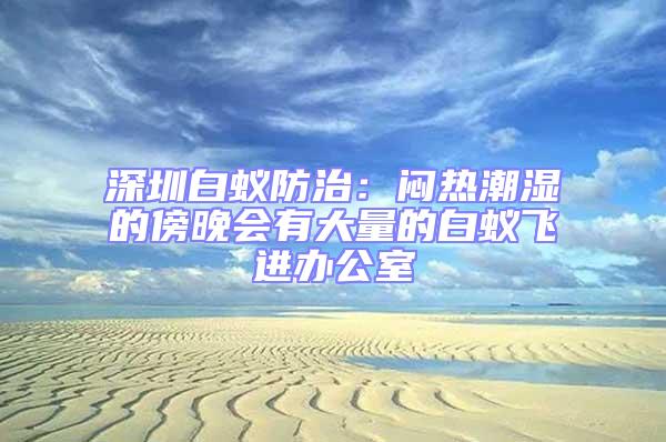 深圳白蟻防治:悶熱潮濕的傍晚會有大量的白蟻飛進辦公室