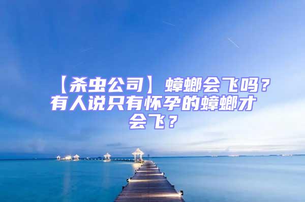 【殺蟲公司】蟑螂會飛嗎？有人說只有懷孕的蟑螂才會飛？