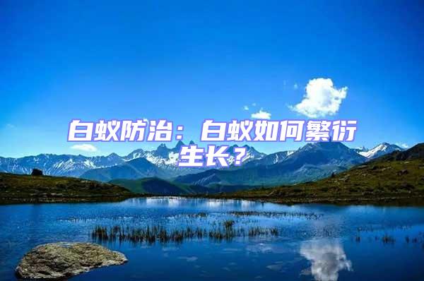 白蟻防治：白蟻如何繁衍生長？