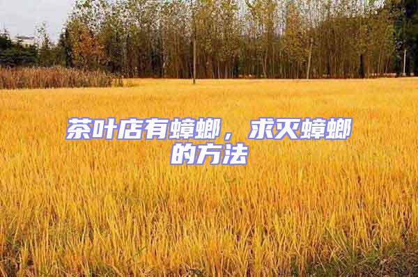 茶葉店有蟑螂,求滅蟑螂的方法