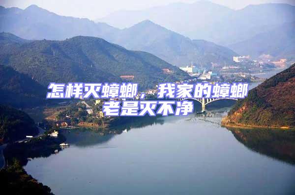 怎樣滅蟑螂,我家的蟑螂老是滅不凈