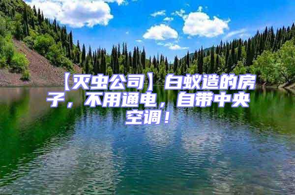 【滅蟲(chóng)公司】白蟻造的房子,不用通電,自帶中央空調(diào)!