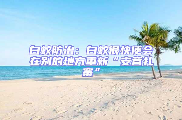 白蟻防治:白蟻很快便會(huì)在別的地方重新“安營(yíng)扎寨”