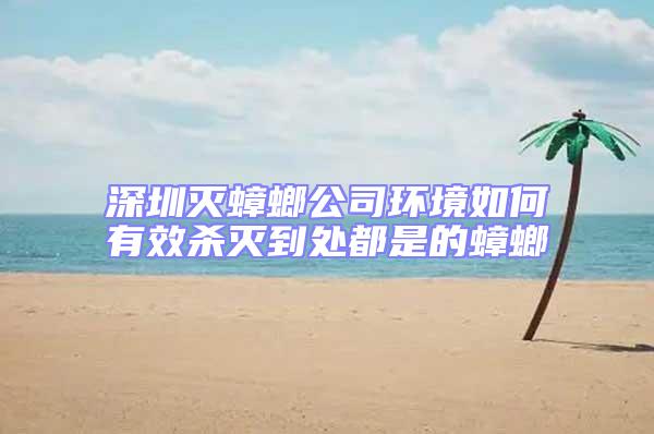 深圳滅蟑螂公司環(huán)境如何有效殺滅到處都是的蟑螂