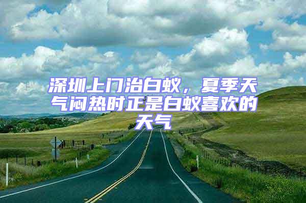 深圳上門治白蟻,夏季天氣悶熱時正是白蟻喜歡的天氣