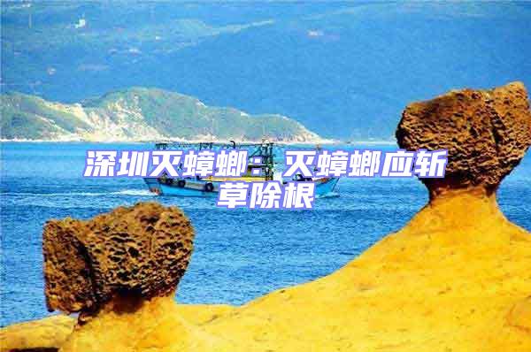 深圳滅蟑螂:滅蟑螂應(yīng)斬草除根