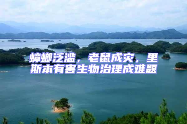 蟑螂泛濫，老鼠成災，里斯本有害生物治理成難題