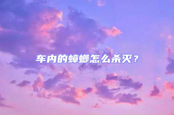 車內(nèi)的蟑螂怎么殺滅？