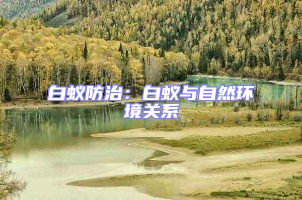 白蟻防治:白蟻與自然環(huán)境關系