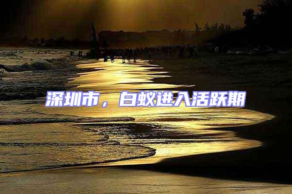 深圳市,白蟻進(jìn)入活躍期