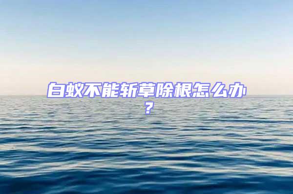 白蟻不能斬草除根怎么辦?