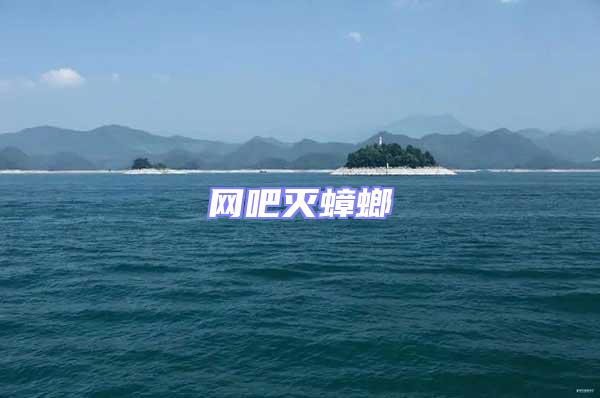 網(wǎng)吧滅蟑螂