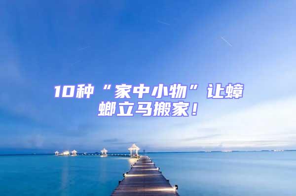 10種“家中小物”讓蟑螂立馬搬家!