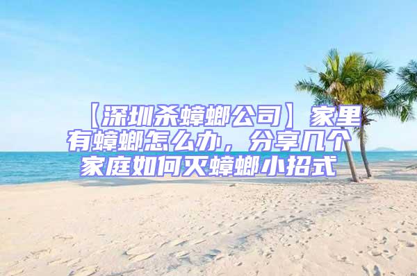 【深圳殺蟑螂公司】家里有蟑螂怎么辦,分享幾個家庭如何滅蟑螂小招式