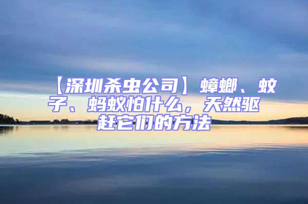 【深圳殺蟲公司】蟑螂、蚊子、螞蟻怕什么，天然驅(qū)趕它們的方法