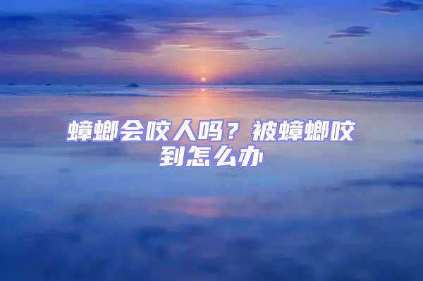 蟑螂會咬人嗎?被蟑螂咬到怎么辦