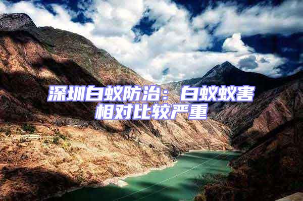 深圳白蟻防治:白蟻蟻害相對比較嚴重