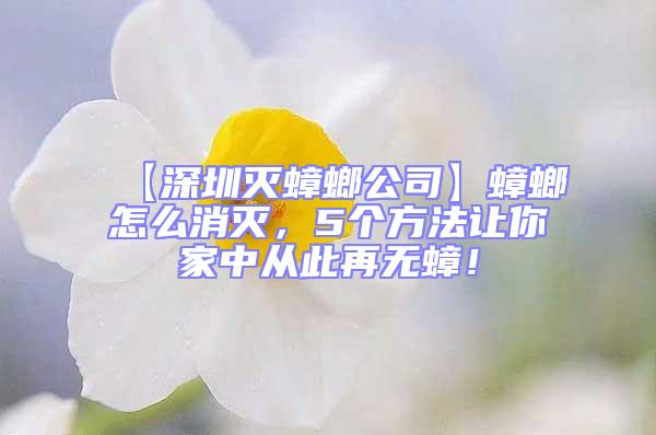 【深圳滅蟑螂公司】蟑螂怎么消滅，5個方法讓你家中從此再無蟑！