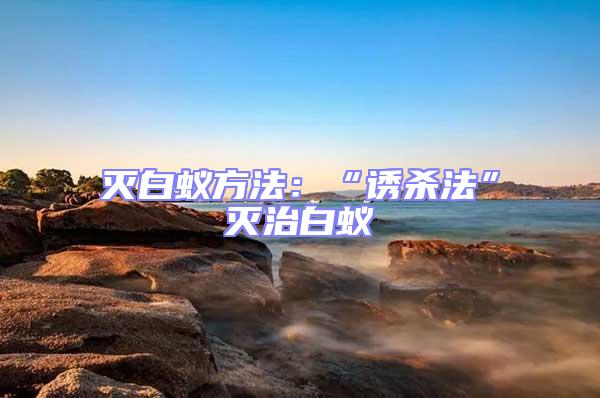 滅白蟻方法:“誘殺法”滅治白蟻