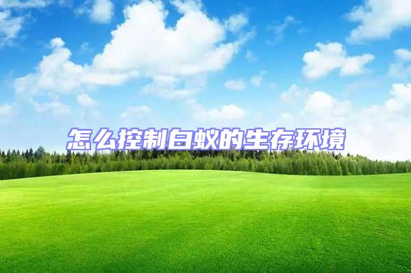 怎么控制白蟻的生存環(huán)境