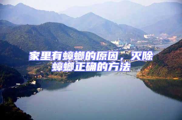 家里有蟑螂的原因,滅除蟑螂正確的方法