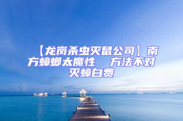 【龍崗殺蟲(chóng)滅鼠公司】南方蟑螂太魔性  方法不對(duì)滅蟑白費(fèi)