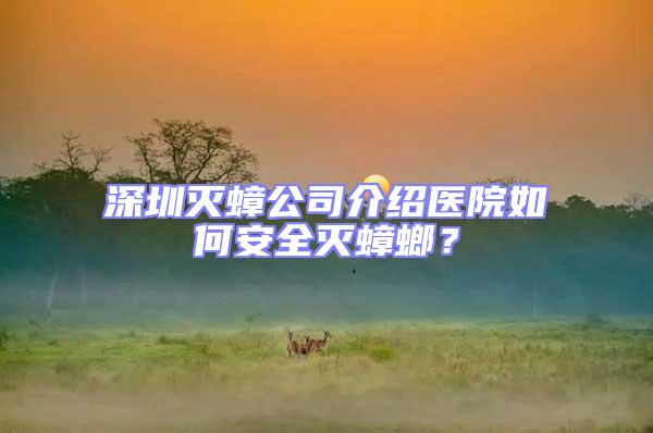 深圳滅蟑公司介紹醫(yī)院如何安全滅蟑螂?