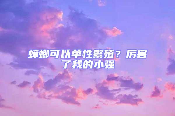 蟑螂可以單性繁殖?厲害了我的小強