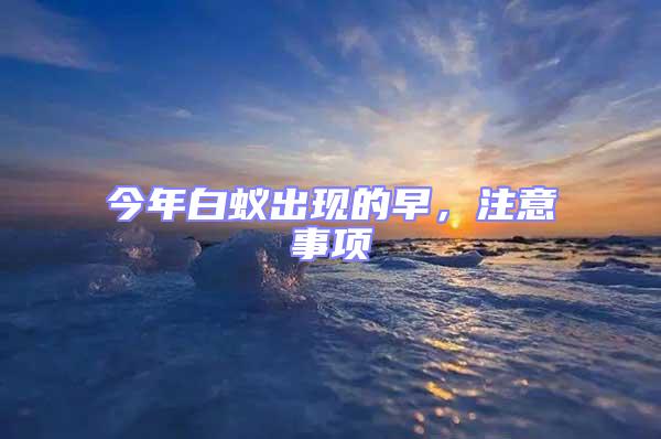 今年白蟻出現的早,注意事項