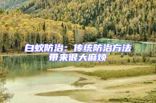 白蟻防治:傳統(tǒng)防治方法帶來很大麻煩
