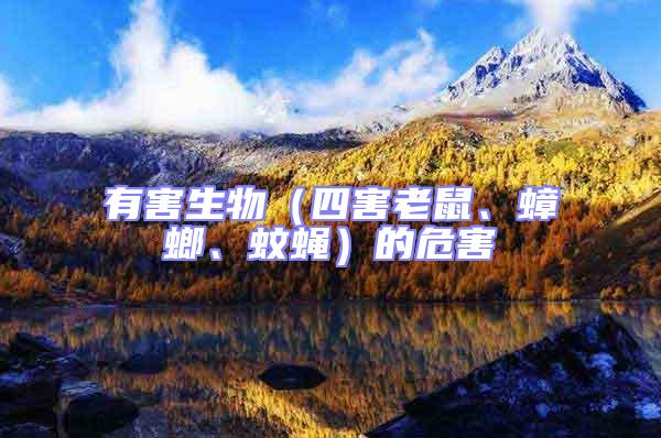 有害生物（四害老鼠、蟑螂、蚊蠅）的危害