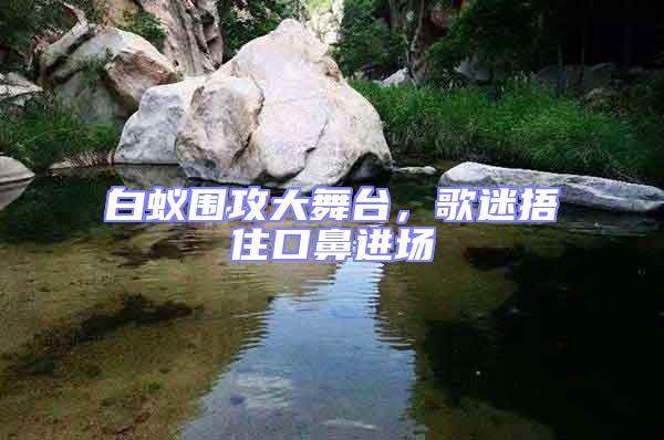 白蟻圍攻大舞臺,歌迷捂住口鼻進(jìn)場
