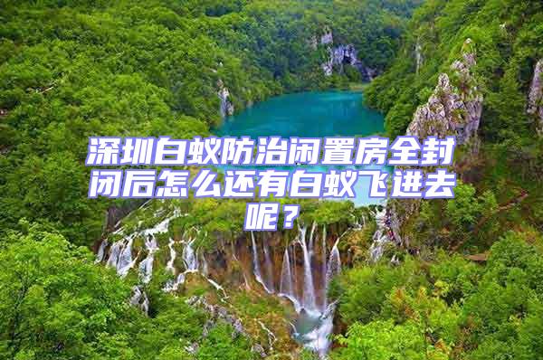 深圳白蟻防治閑置房全封閉后怎么還有白蟻飛進(jìn)去呢?