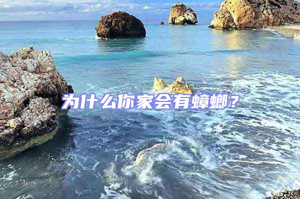 為什么你家會有蟑螂?