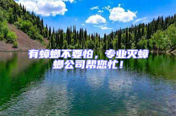 有蟑螂不要怕,專業滅蟑螂公司幫您忙!