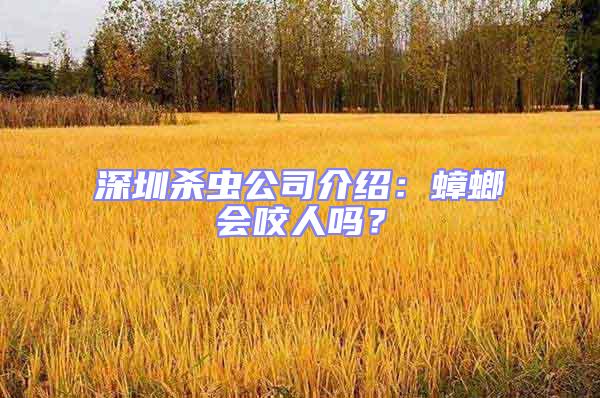 深圳殺蟲公司介紹:蟑螂會咬人嗎?