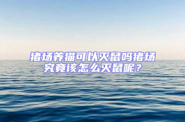 豬場養貓可以滅鼠嗎豬場究竟該怎么滅鼠呢?