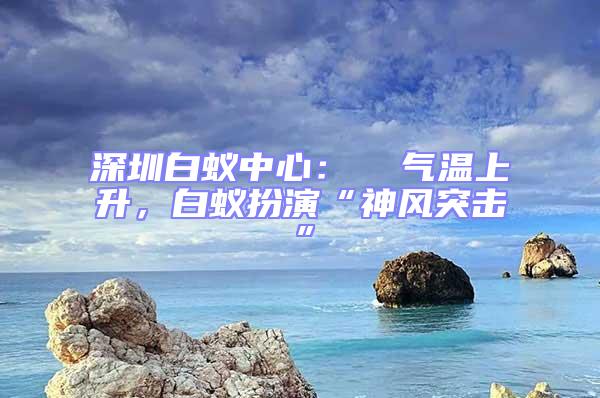 深圳白蟻中心:  氣溫上升,白蟻扮演“神風突擊”