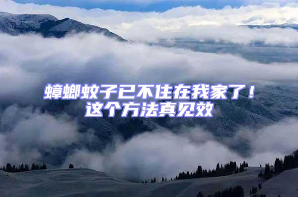 蟑螂蚊子已不住在我家了!這個(gè)方法真見(jiàn)效