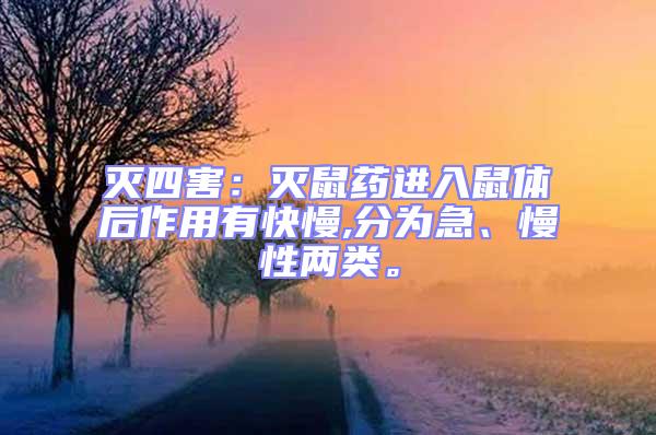 滅四害:滅鼠藥進入鼠體后作用有快慢,分為急、慢性兩類。