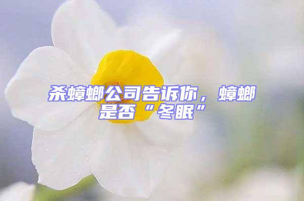 殺蟑螂公司告訴你,蟑螂是否“冬眠”