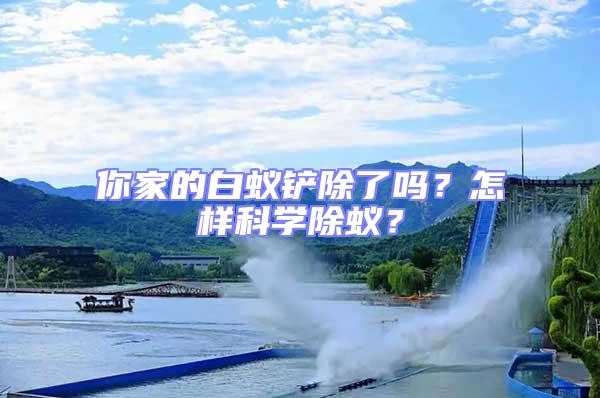 你家的白蟻鏟除了嗎?怎樣科學除蟻?