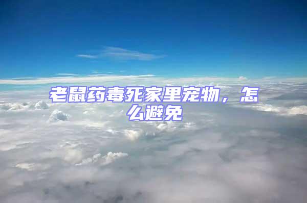 老鼠藥毒死家里寵物,怎么避免